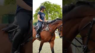 Part 4 | Why do we use V railes in show jumping? #equestrian #horsetraining #horseriding