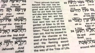 The Interlinear Bible Hebrew Greek English