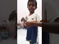 cocktail _ sam