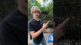 Remember this logo ⛵