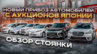 ❗НОВЫЙ ПРИВОЗ АВТОМОБИЛЕЙ С АУКЦИОНОВ ЯПОНИИ❗ОБЗОР СТОЯНКИ❗JAPAUTOBUY