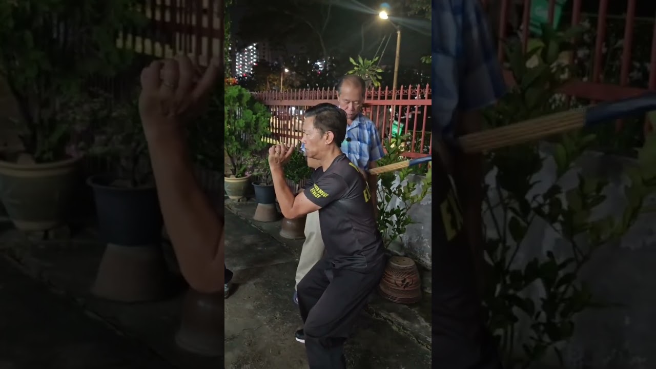 杨顺德师傅  教导 #岭南洪拳 #铁线拳 练功方法