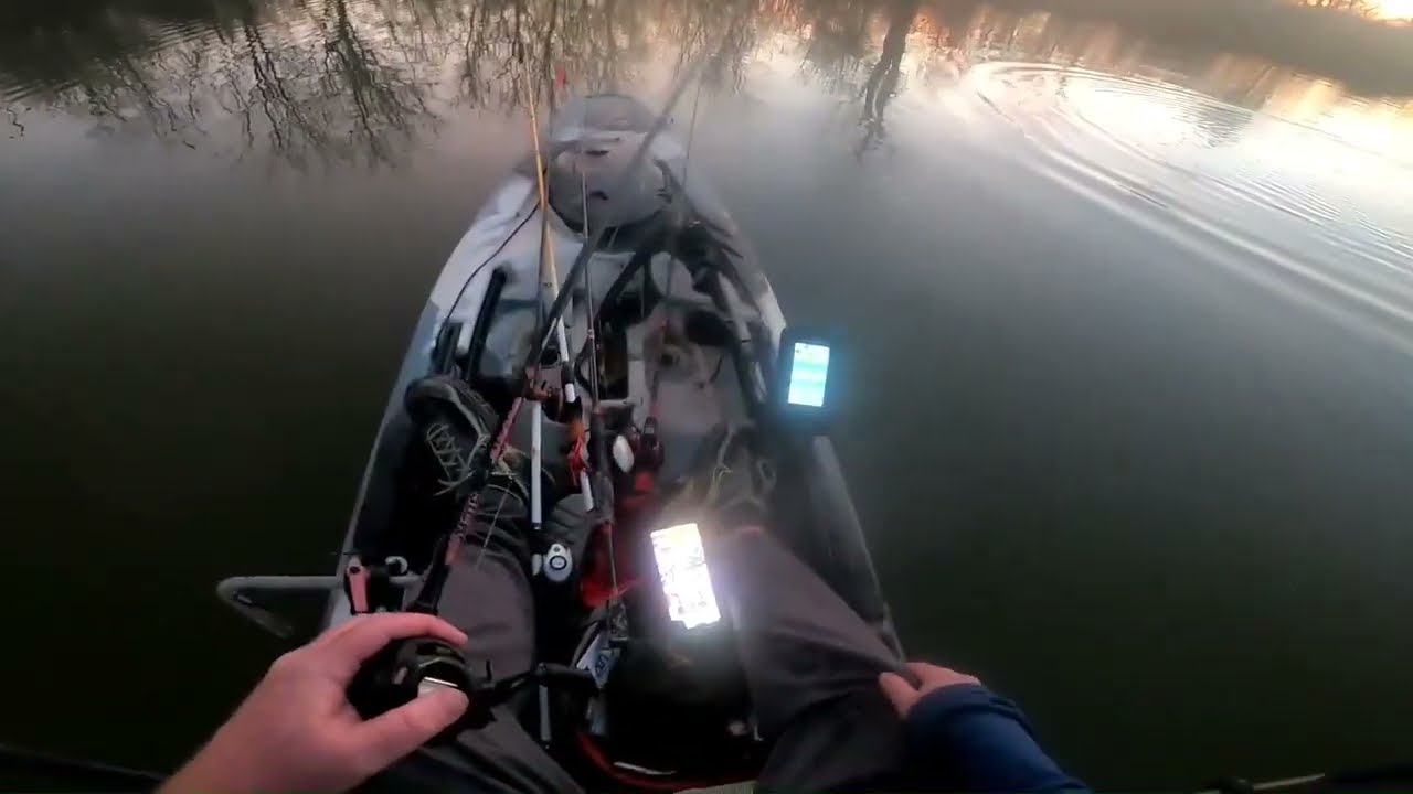 WHEN THE BASS CATCHES ITSELF #monsterbass #bassfishing #recomended