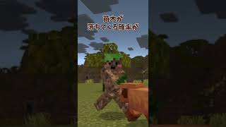 ジャングルの木の秘密…! #shorts #マインクラフト #minecraft