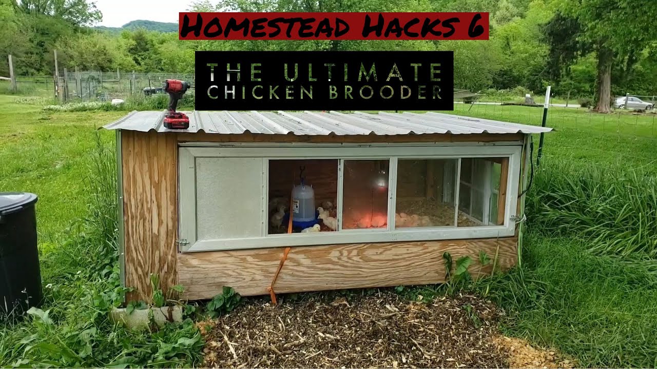 Homestead Hacks: Part 6 The Ultimate Chicken Brooder - YouTube