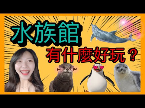 【韓國vlog】樂天水族館Lotte Aquarium | 韓國旅行