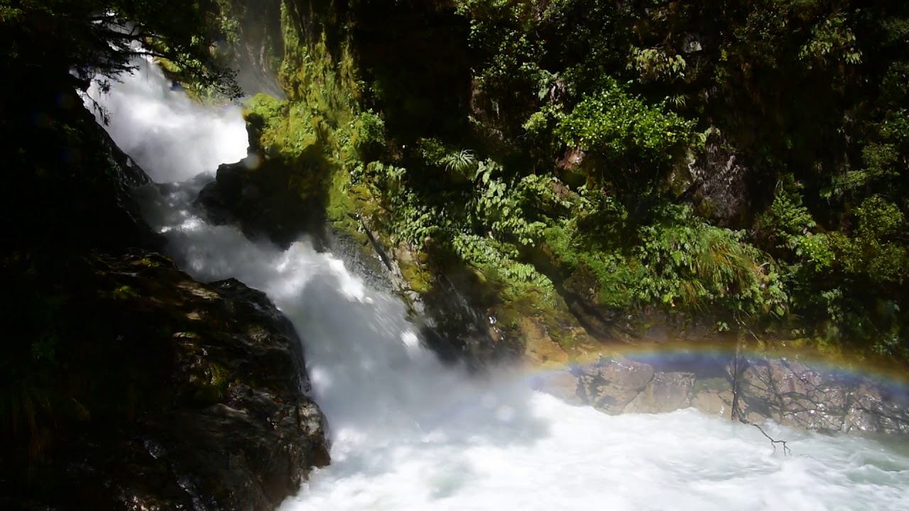 Une Minute De Rien Dans Le Parc De Fiordland le Du Sud Nouvelle