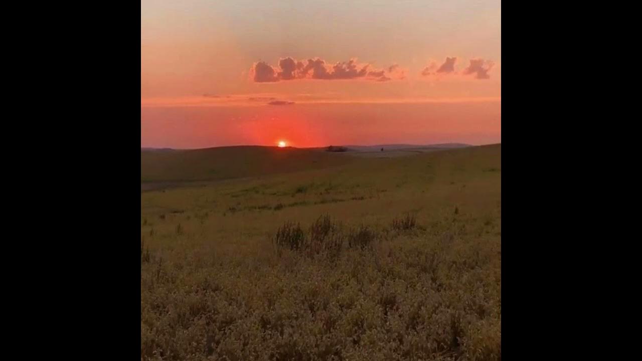 Пьяное солнце. Мукка концерт спб 2023. Пьяное солнце alekseev. Пьяное солнце speed up. Певец пьяное солнце.