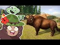 Expanding Our WILD BISON Valley?! 🐺 Planet Zoo: Redwood Park • #8