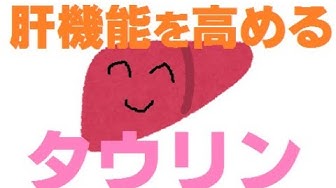 タウリン Youtube