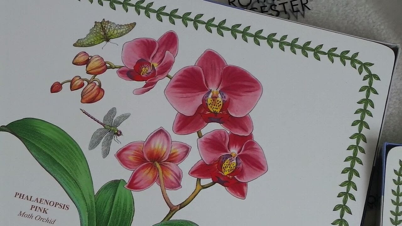 Portmeirion Exotic Botanic Garden Early Birthday Present Unboxing | Placemats & Coasters
