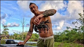 First night dive of the season for lobsters! 🦞 -catch & cook-