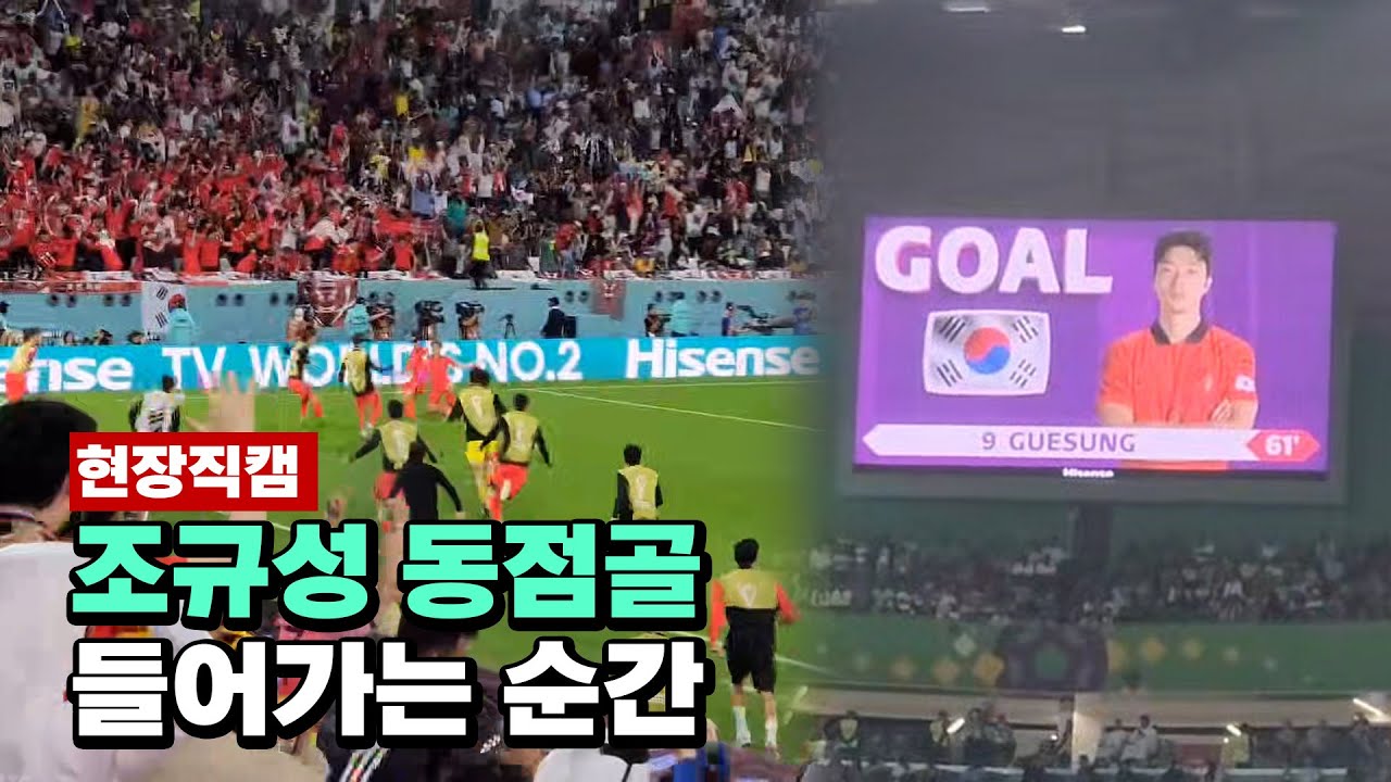 '가나전' 조규성 동점골들어가는 순간 - 카타르월드컵 221128 ⎥내일의행복