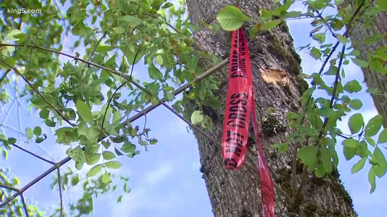 17-year-old boy gunned down in south Seattle park identified