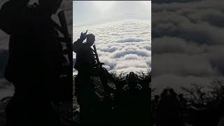 Sounds App Azərbaycan Ordusu Status Paylaşımı Allah Əsgərləri̇mi̇zi̇n Qorusun