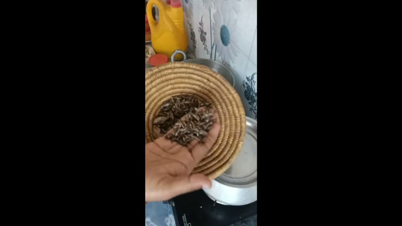 खाना बना दि लाईफ में