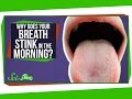 Why Does Your Breath Stink in the Morning?