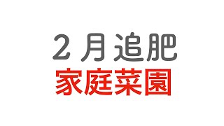 ニンニク栽培　家庭菜園　２月の作業