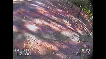 Tmotor F40pro 2600kv 4s iflight ix5 crash