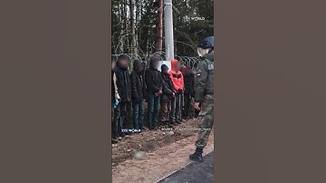 Tense days on the #Polish–Belarusian #border: hundreds try to cross illegally