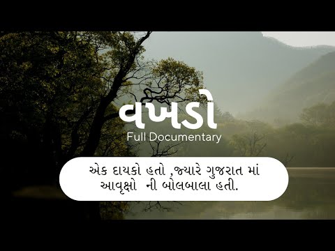 વખડો ||એક દાયકો હતો, જ્યારે આ વૃક્ષો ની ગુજરાત માં બોલબાલા હતી |A Tree ..Which is extremely valuable