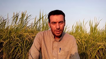تلاوة من ريف مصر للشيخ عماد محمد عبدالستار بدر