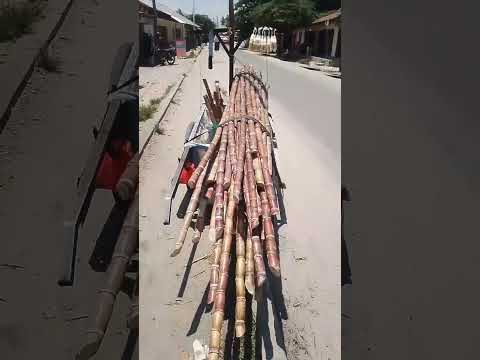 Muuza Miwa Mbagala Kijichi Karibuni Wateja