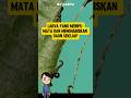 Larva yang Menipu Mata dan Menghabiskan Daun Sekejap#shorts #larvagergaji #hewanunik