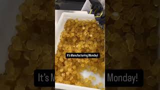 New Vegan CBD Gummies!