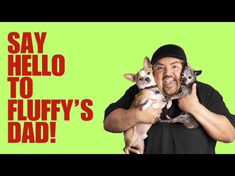 Say Hello To Fluffy's Dad