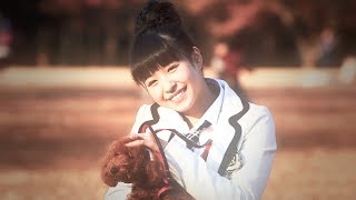 りぃちゃんドラマ「犬との別れ編」