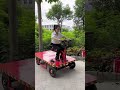 🛻Electric Flatbed Truck Electric Pallet Truck Loading and Unloading Tool Warehouse Logistics