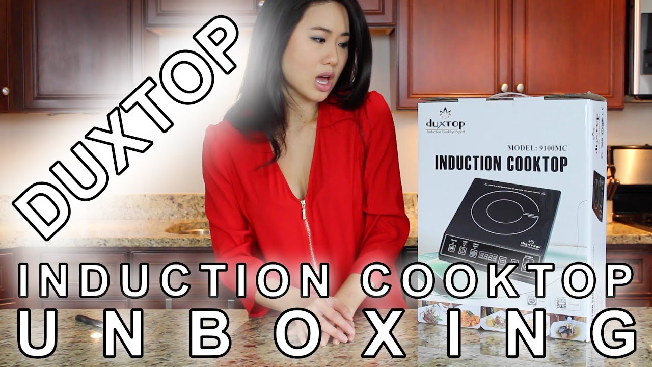 Secura Duxtop Induction Cooktop 9100MC UNBOXING & IMPRESSION Best