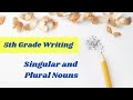 Understanding Singular and Plural Nouns