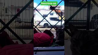 Março se foi. Que Abril, nos abra caminhos e felicidades. #camper4x4 #automobile #petsfofinhos