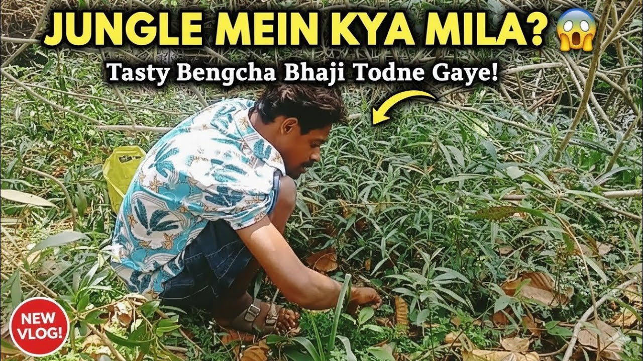 Jangal mein kya tasty sabji mila