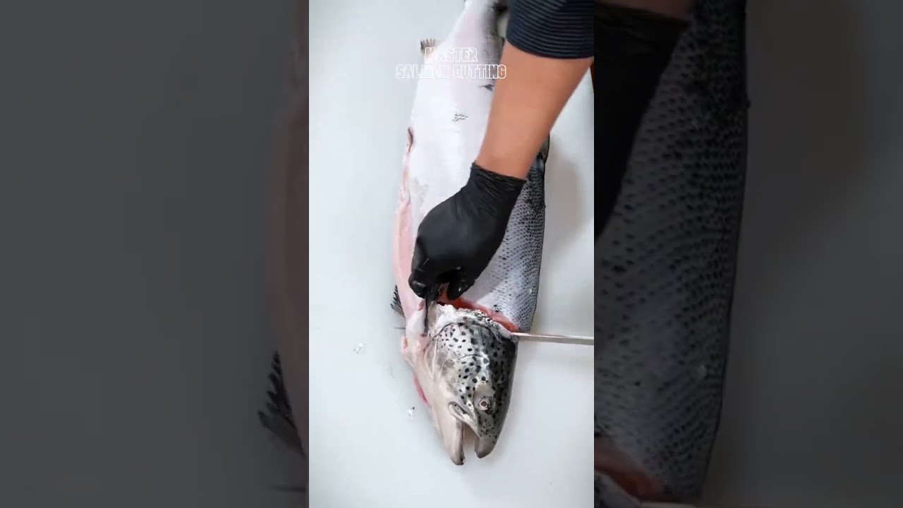 How to Fillet a Whole Salmon | How to Make Sashimi #1 