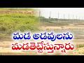 కృష్ణా జిల్లాలో మడ అడవుల ఆక్రమణ | Encroachment of Mangrove Forests in Krishna District
