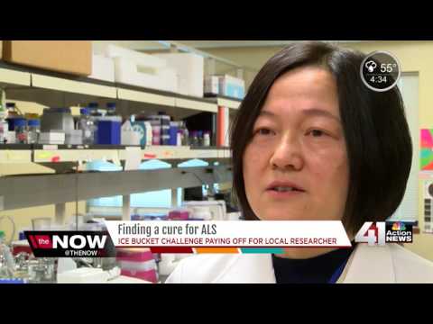 Finding a cure