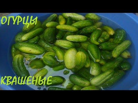 Video: How To Salt Cucumbers In A Barrel