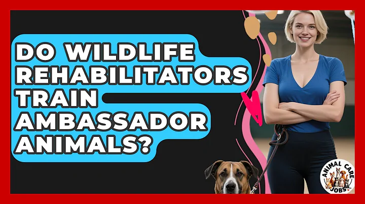 Do Wildlife Rehabilitators Train Ambassador Animals? - Animal Care Jobs