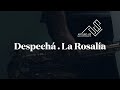 Despechá   La Rosalía (Sax cover)