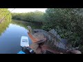 Pescando pargos con LUNA en CAURTO | Lupe Lofish