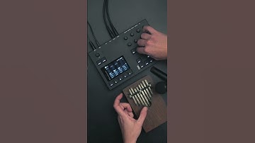 S-4 Shorts: The S-4 adds depth and texture to any live instrument.