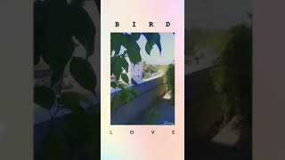 Bird Machine... Dj Snake