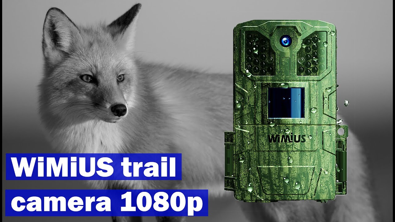 wimius wildlife trail camera