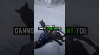 Did You Know You Can Actually Reach Blackwater in Chapter 1 of RDR2?