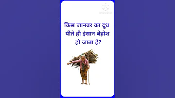 2025 GK Top 20 GK Question GK Question GK Question And Answer Brgkstudy GkinhindiGK 