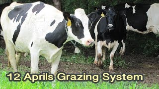Tom Tranthams Sustainable Dairy Grazing System
