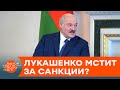 Лукашенко натравливает нелегалов на Европу. Что он задумал? — ICTV